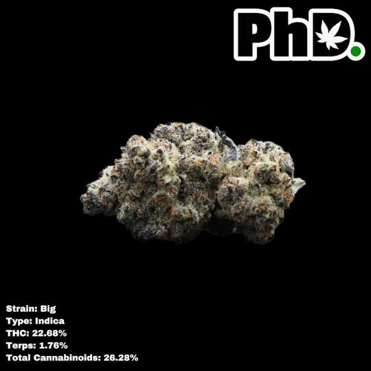 Pharmicated - PhD Indoor Flower - Big - 1