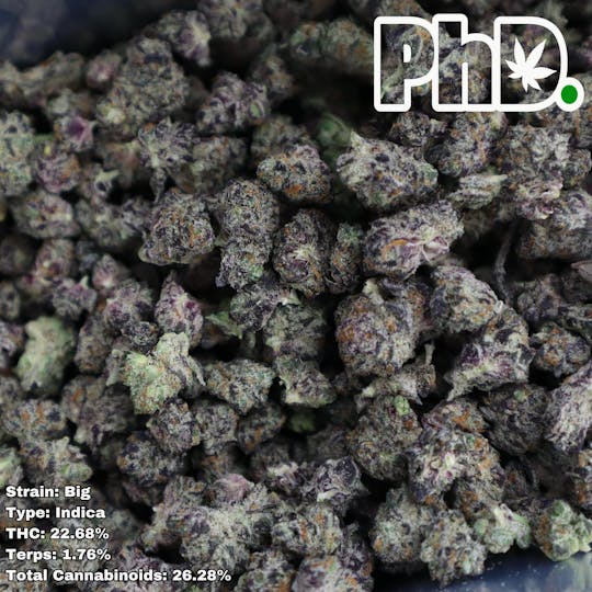 Pharmicated - PhD Indoor Flower - Big B-Buds - 1