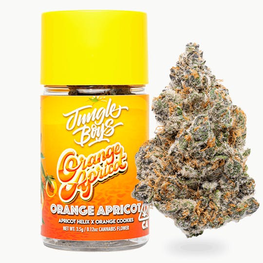 Jungle Boys - Jungle Boys | Orange Apricot - 3.5g Jar - 1