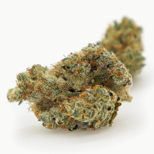 River Driver Cannabis Co - Panama Pupil 3.5g - 1