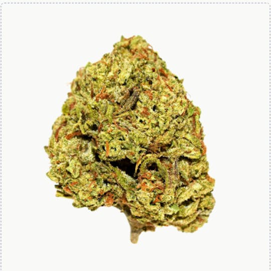Smoakland - Exotix - Tuscan Gelato (H) - 14g - 1