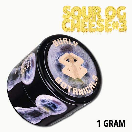 Burly Botanicals - Burly Botanicals | Sour OG Cheese #3 | 1g Hash Rosin - 1