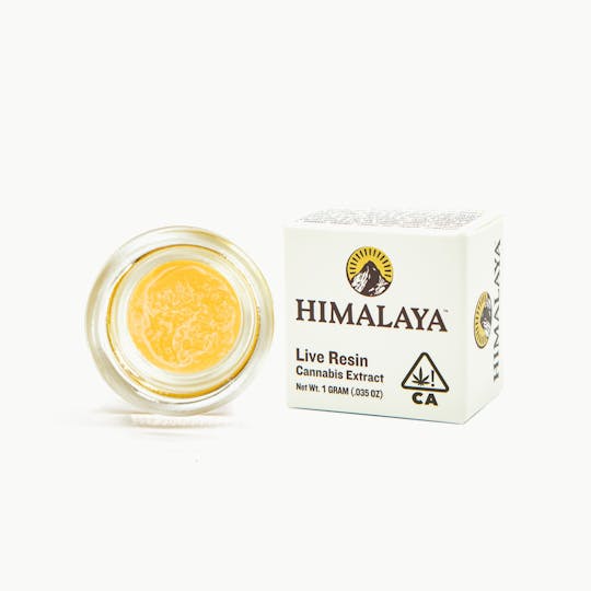 HIMALAYA - GMO Cookies (Live Resin Concentrate) - 1G - 1