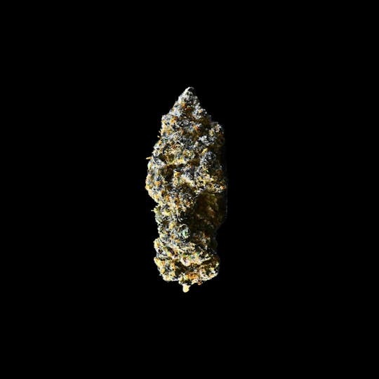 Coastal Remedies - Goblin Punch Flower - 1