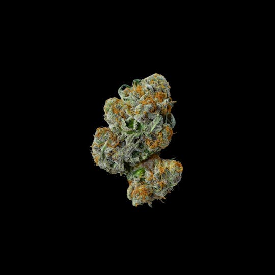 Coastal Remedies - Peanut Butter Zkittlez - 1