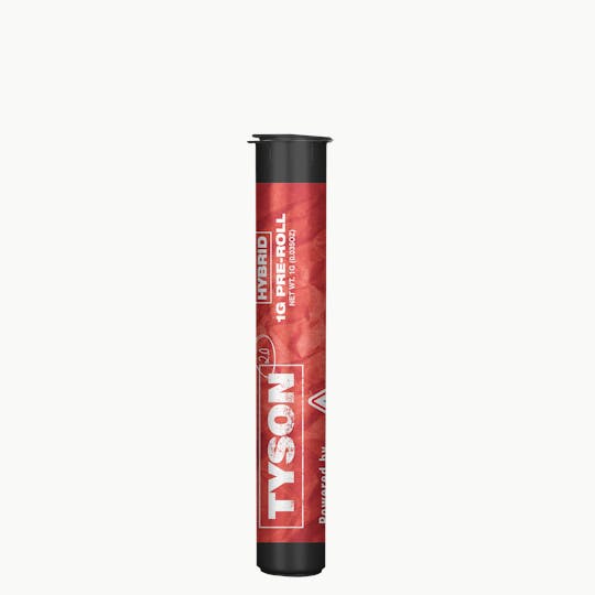 TYSON 2.0 - Hybrid 1g Preroll - 1