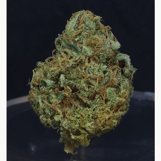 BAM Alaska - BAM Strikes Back 14g Flower - 1