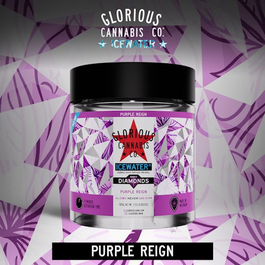 Glorious Cannabis Company - Purple Reign 3x.5G | Bubble Hash with Diamonds | Glorious Cannabis Co. - 1