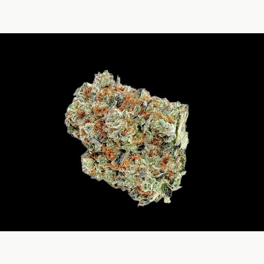 Auraz - Caleta Flower | Love Seed - 1