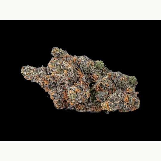 Auraz - Caleta Flower | Tropical Skittlez - 1