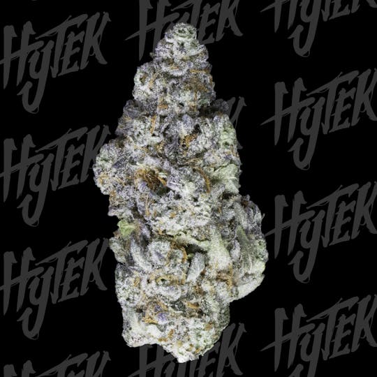 Hytek - HYTEK | DEVILS CANDY | BULK DELI FLOWER - 1