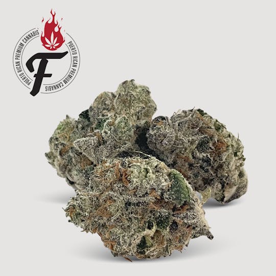Fuego by Nature - La Masa - Fuego - 1