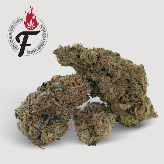 Fuego by Nature - Critical Kush - Fuego - 1
