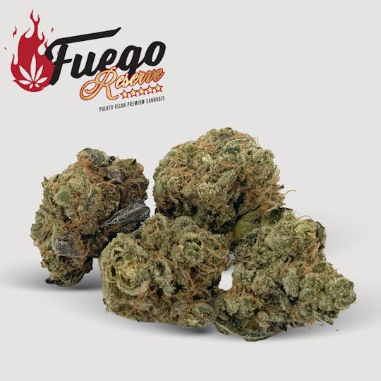 Fuego by Nature - Gary Payton - Fuego - 1