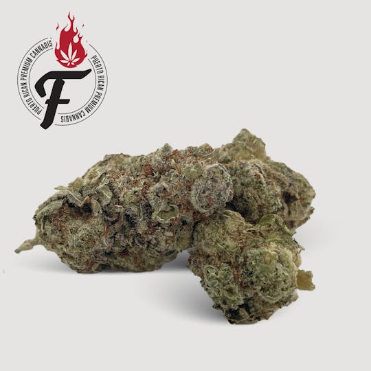 Fuego by Nature - Bubble Gum - Fuego - 1