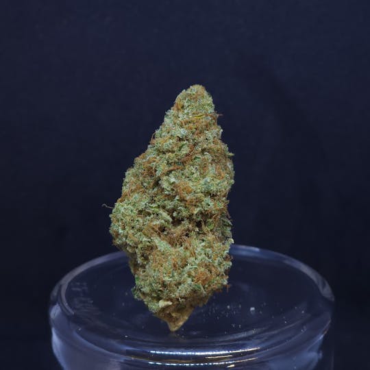 BAM Alaska - Critical Mass (CBD) .5g Pre-Roll - 1