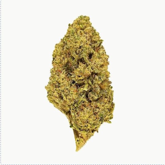Smoakland - Exotix - Jelly Donuts (H) - 14g - 1