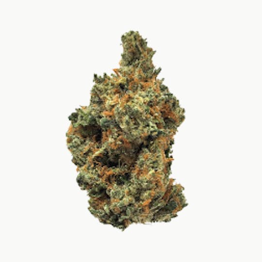 matter. - Hazelnut Cream - 1