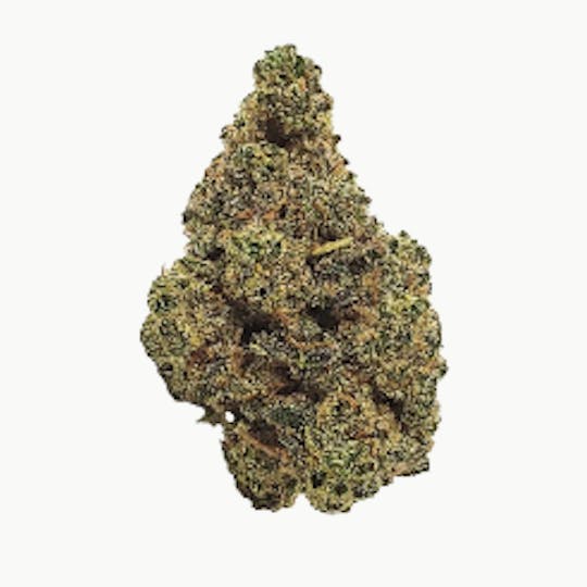 matter. - Blueberry AK - 1