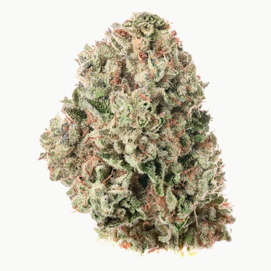Joy Ridge Farms - Ice Cream Cake Flower - 1