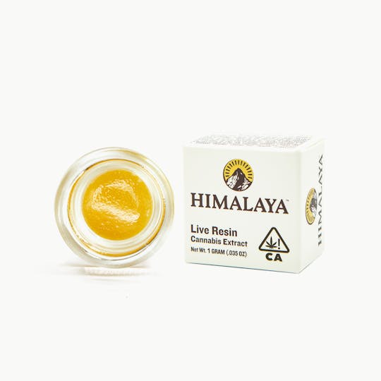 HIMALAYA - Honey Drops (Live Resin Concentrate) -1G - 1
