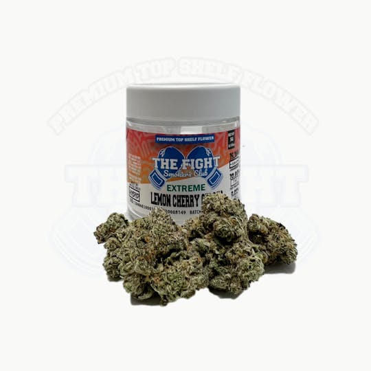 The Fight - EXTREME LEMON CHERRY GELATO 5G - THE FIGHT - 1