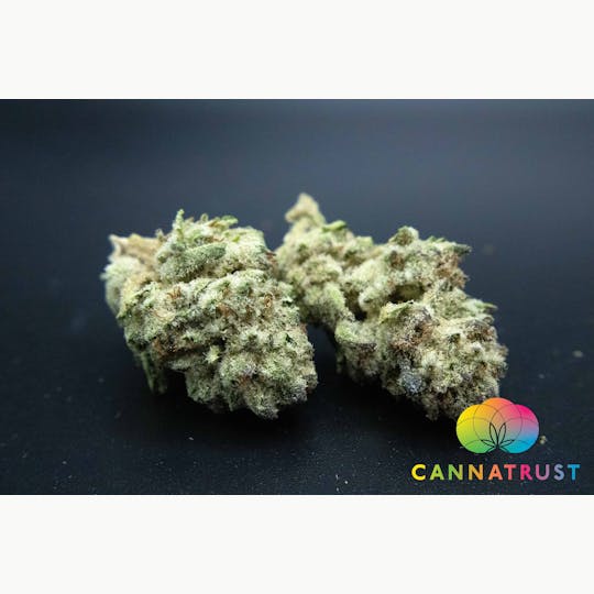 Trusty Transportations - Oreoz 8th/3.5Grams(26%THC, Hybrid) - 1