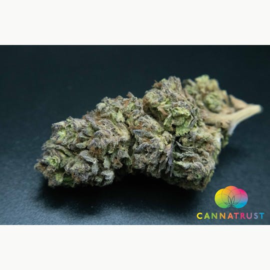 Trusty Transportations - Vice City 1/2 Ounce/14Grams(28%THC, Hybrid) - 1