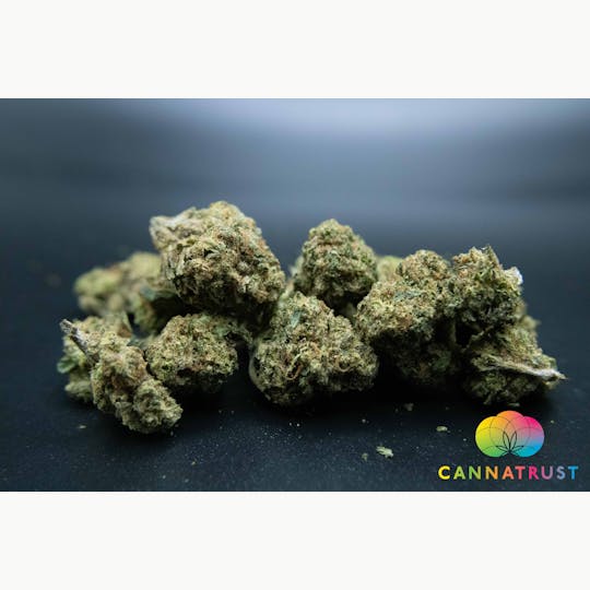 Trusty Transportations - Gastro Pop Ounce/28.3Grams(28%THC, Indica) - 1