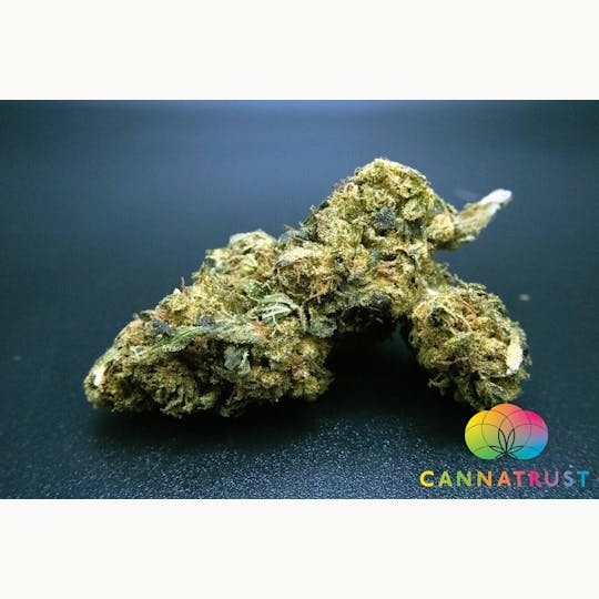 Trusty Transportations - Burmese Mimosa 1/2 Ounce/14Grams(28%THC, Sativa) - 1