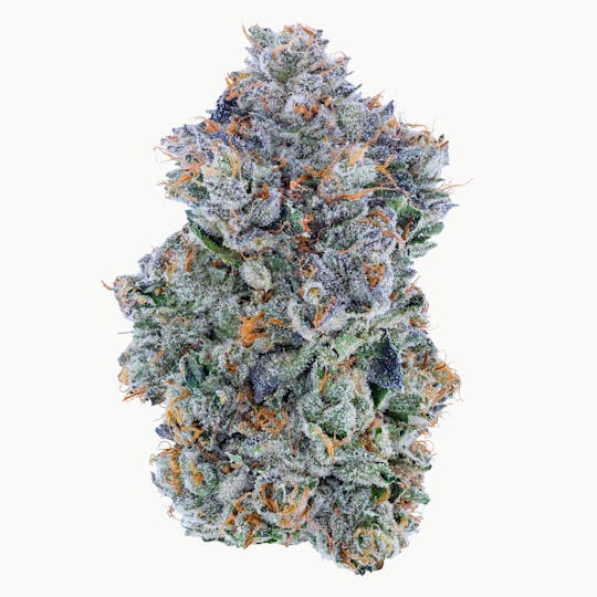 Fig Farms - Blue Face - 1
