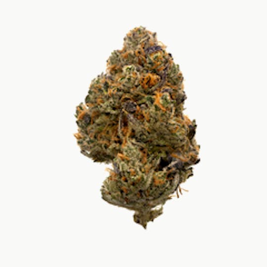 Highbrow - Highbrow Silver Sunshine - 1