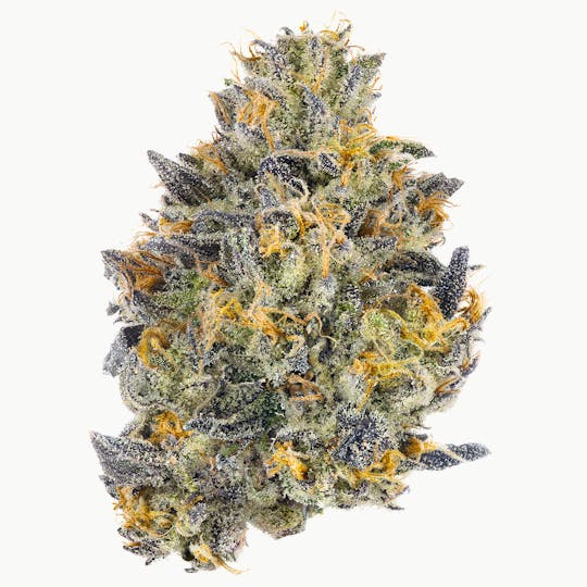 Fig Farms - Red Bubblegum - 1