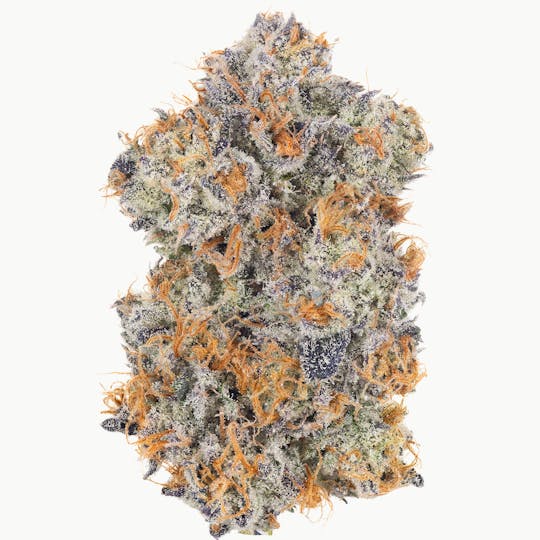 Fig Farms - Rainbow Runtz - 1