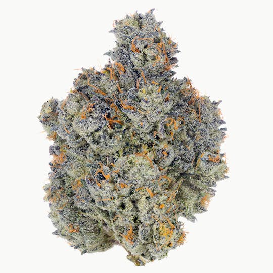 Fig Farms - Cocoa Mints - 1