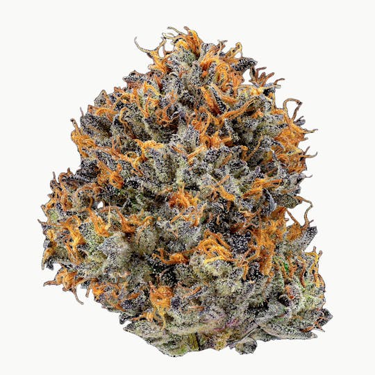 Fig Farms - ZD4 - 1