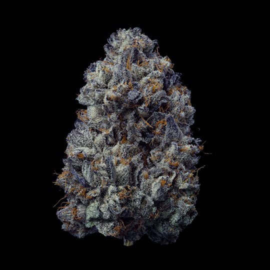 Fig Farms - Kush Newton - 1