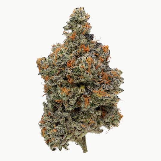 Fig Farms - Lucid Blue - 1