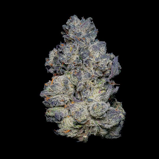 Fig Farms - 6ixth Sense - 1