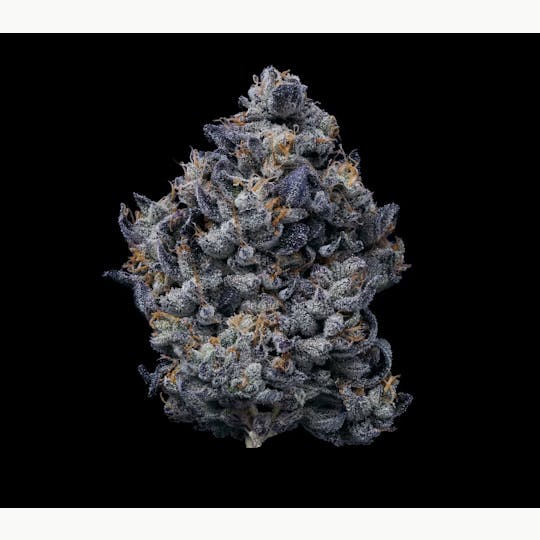 Fig Farms - Lemon Cherry Gelato - 1