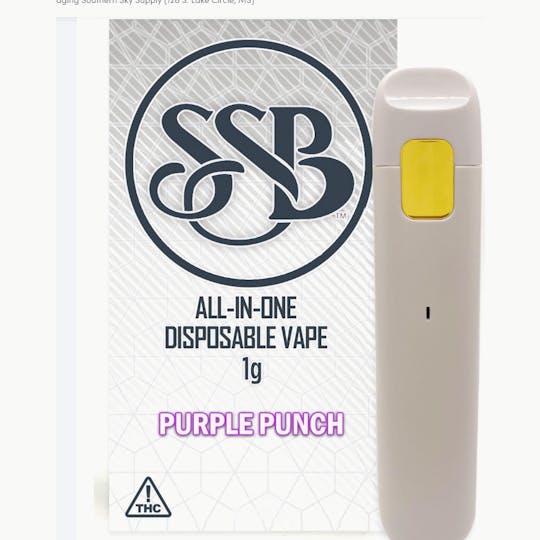 Southern Sky Brands - Purple Punch Disposable Vape - 1g - 1