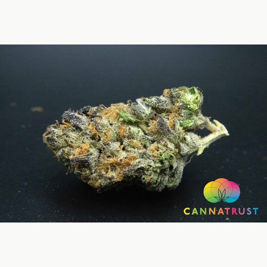 Trusty Transportations - Gelato 33 8th/3.5Grams(27%THC, Indica) - 1