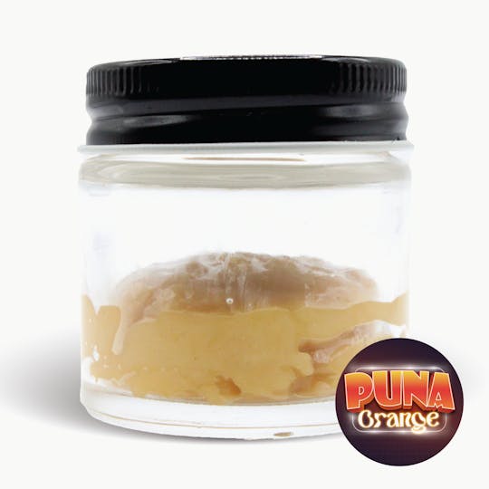 Gas Station Cultivation - Puna Orange Cured Resin Badder 14G Baller Jar - 1