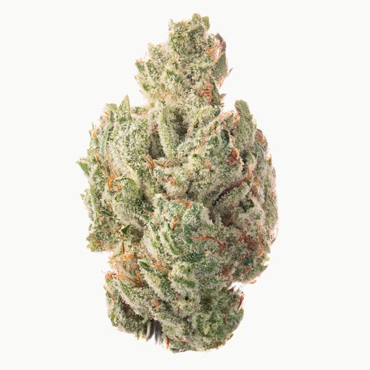 Quality Over Quantity - Zkittzy Glue Flower - 1