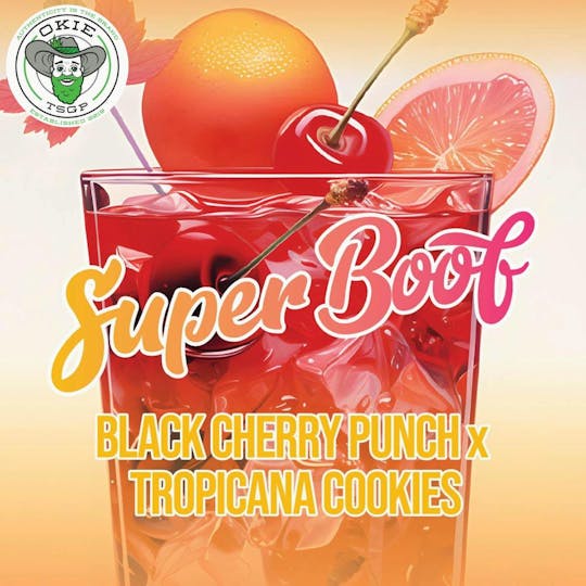 Okie TSGP - Super Boof - 1g - Live Hash Rosin Puree - 1
