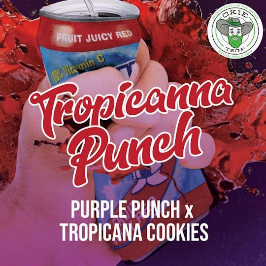 Okie TSGP - Tropicana Punch - 1g - Live Hash Rosin Batter - 1