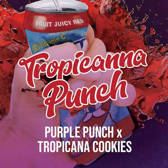 Okie TSGP - Tropicana Punch - 4g - Live Hash Rosin Batter - 1