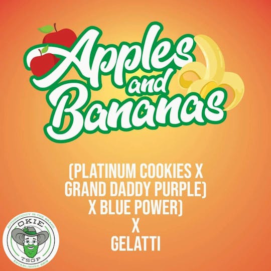 Okie TSGP - Apples & Bananas - 4g - Live Hash Rosin Batter - 1