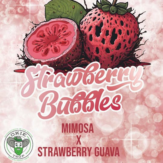 Okie TSGP - Strawberry Bubbles - 1g - Live Hash Rosin Jam - 1
