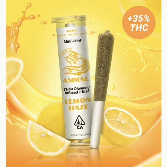 Animal - 1g Lemon Haze / THCa Diamond infused Joint - 1